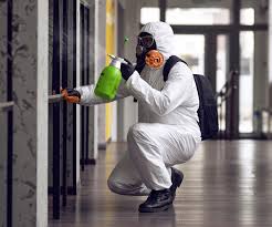 Best Asbestos and Lead Testing During Mold Inspection  in Ballville, OH